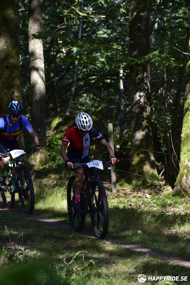 Bild från Bockstensturen 2019